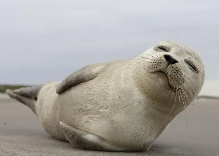 Weloveoostende - Newly Renovated Large 150m From The - Including Bed Sheets And Final Clea-ning Appartement *