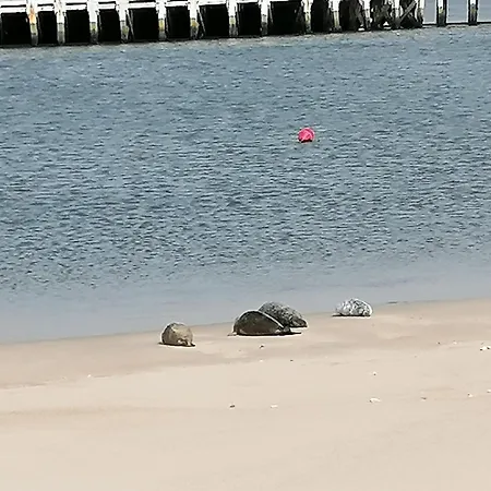 Weloveoostende - Newly Renovated Large 150m From The - Including Bed Sheets And Final Clea-ning